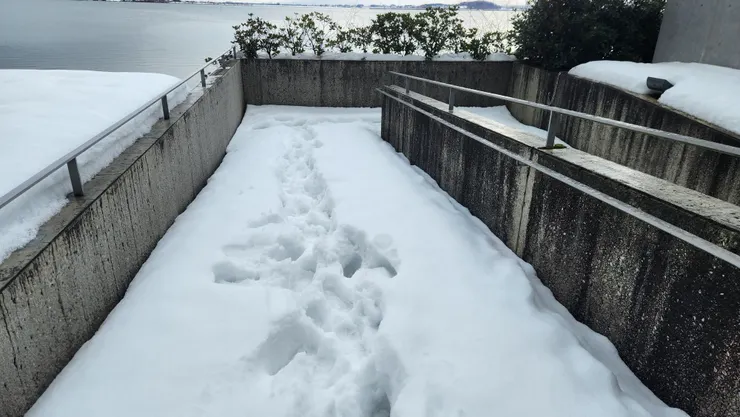 沿途走上來鞋子都差點進雪