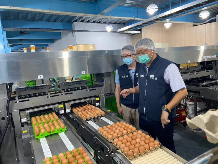 檢查蛋品銷售標示是否符合規定，以排除進口蛋標示不實混充國產蛋疑慮。圖：農業局提供