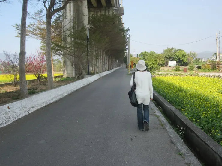 漫步在走回泰安新站的高架橋下