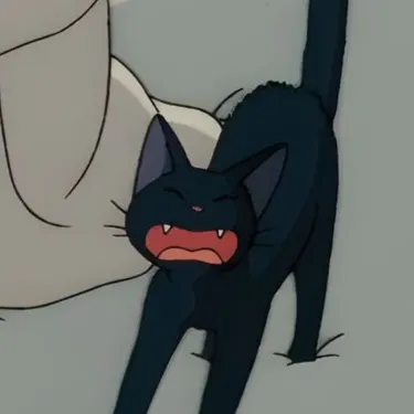 島貓日和的沙龍