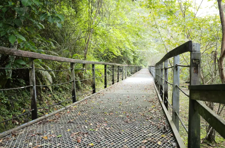 沿溪步道2一景