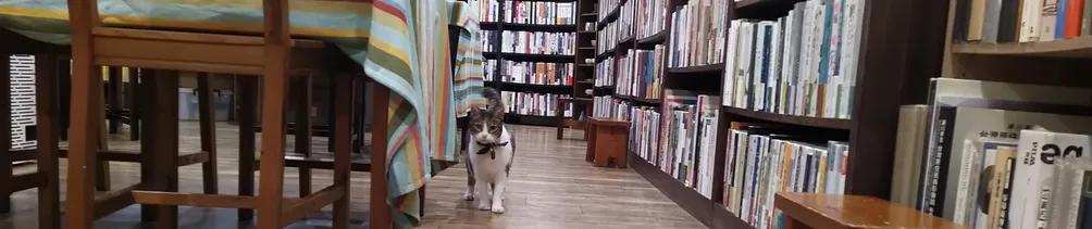 沙貓貓的貓與書與貓