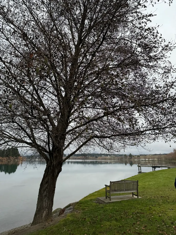 了解萬物的根本道理,美景就會呈現在眼前