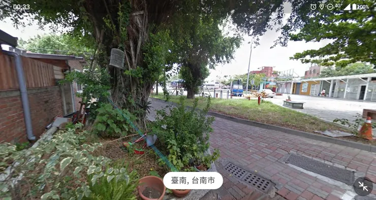 兒時的榕樹還在,但提防外的小運河已經填平變成馬路了