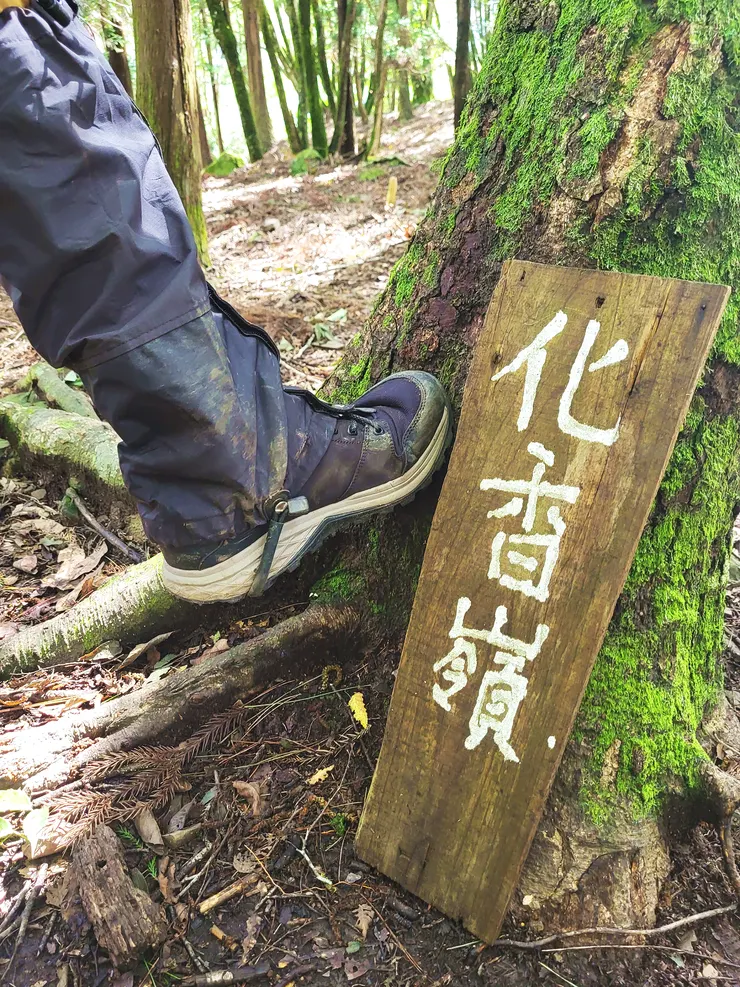 9:45來到化香嶺，表示白雪村快到了