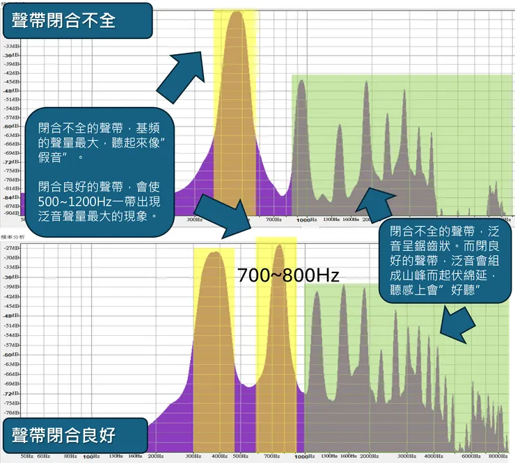 聲帶閉合是否完全對聲譜的影響