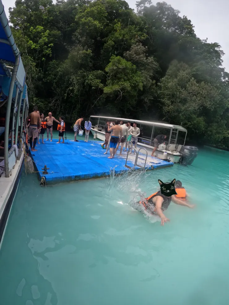導遊幫我拍的跳水照… 看起來像溺水照…