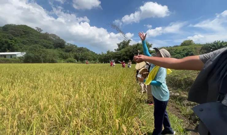 撒田菁,給予土地祝福,期待明年的收成