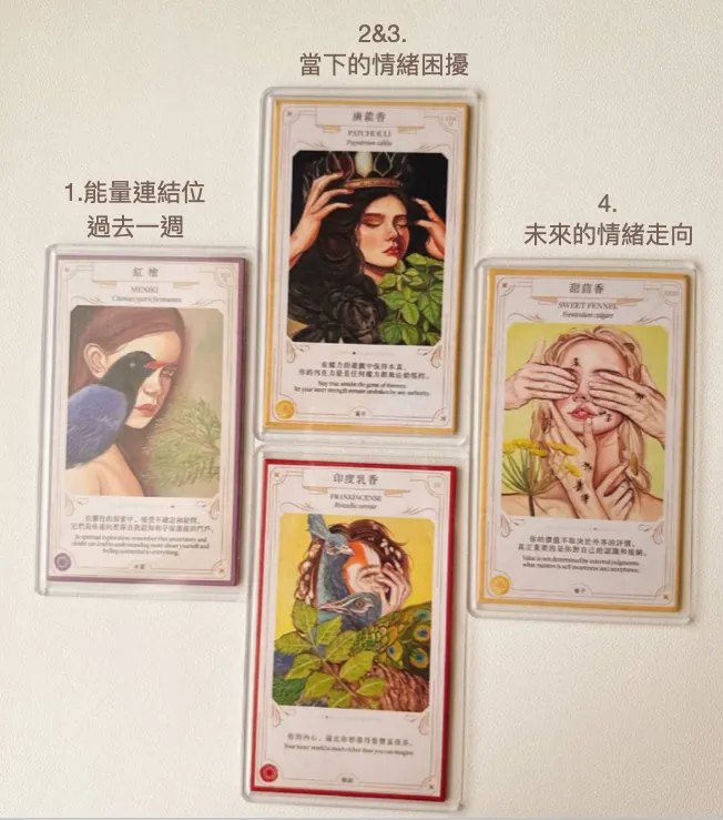 熊熊選手的牌卡