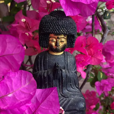 Pema Lhamo貝瑪拉莫 蓮花天女慢慢飛