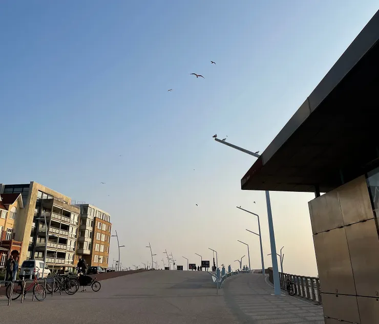 剛到海邊以為是荷蘭版高美濕地