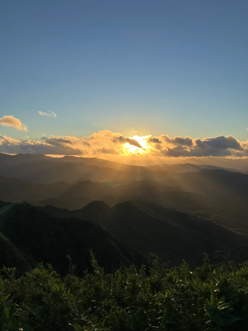 睏睏的人森思路