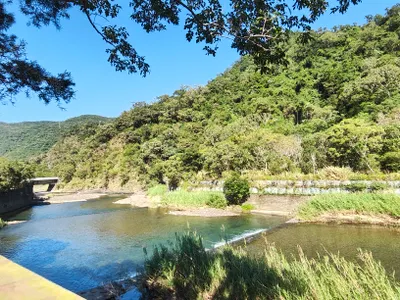 你能判斷方格子的格友回應你的話語是真誠的嗎?