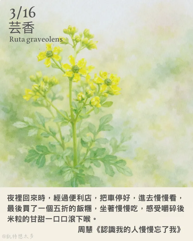 3 月 16 日｜芸香×周慧《認識我的人慢慢忘了我》