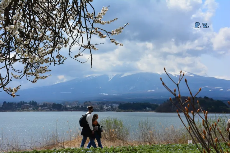 被烏雲遮蓋的富士山 ([陳傳義]拍攝於大石公園)