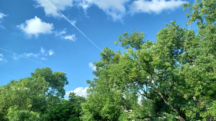 圖書館窗外藍天白雲卻也高溫炎熱