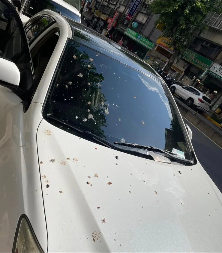 到底得罪了誰?!