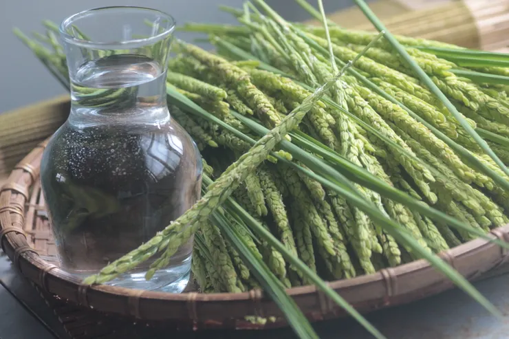 《本草備要》提到用新鮮正在開花的稻穗來蒸露，有清肺開胃的作用。