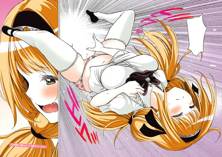 赫姆拉·弗蘭切斯卡