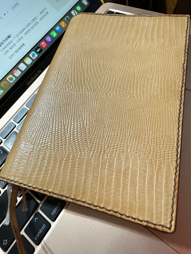 時間潤飾了皮色