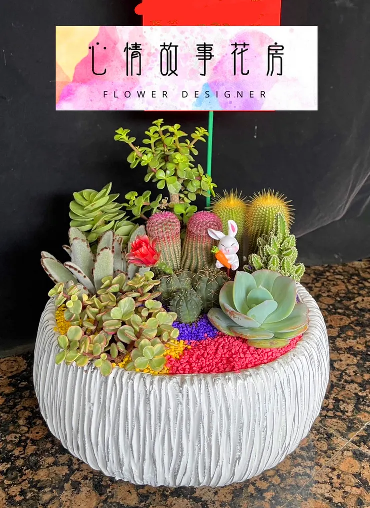 台南買盆栽，心情故事花房是您最好的選擇！這家花店擁有台南最多樣式和款式的盆栽，特別是觀葉植物，更是心情故事花房的強項之一