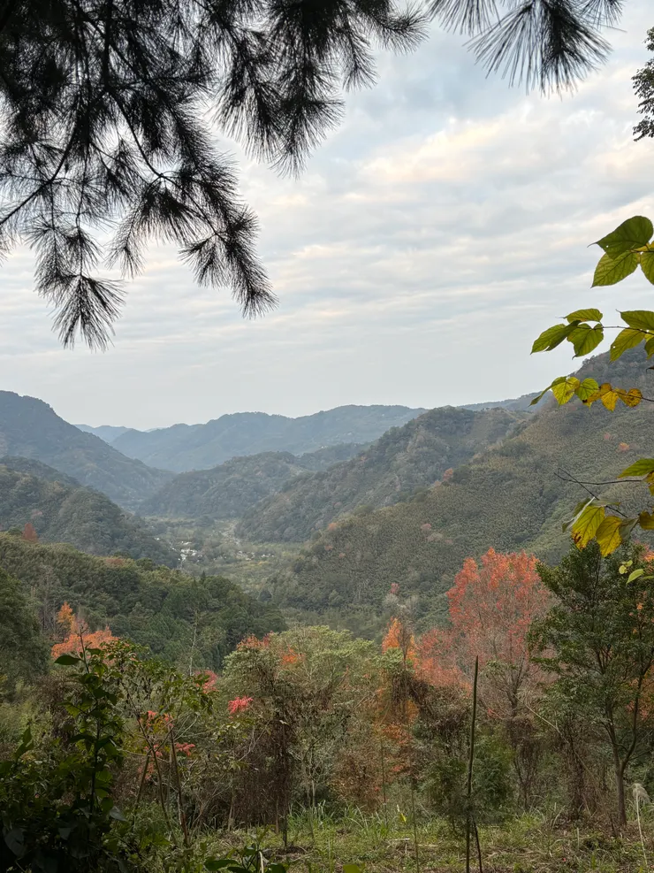 早上起床的山景