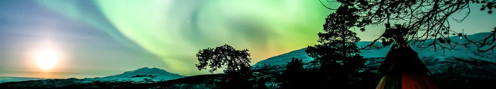 ॐSasha Whimsy的沙龍