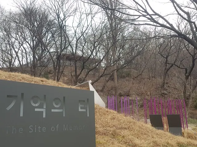 日軍慰安婦記憶之地,首爾,南山公園人權森林。247根紫色光柱代表247位確認身分的慰安婦受難者。