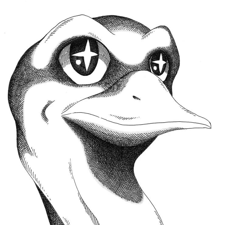 夏賢尚 第9張數位單曲《Coyote Lily》封面