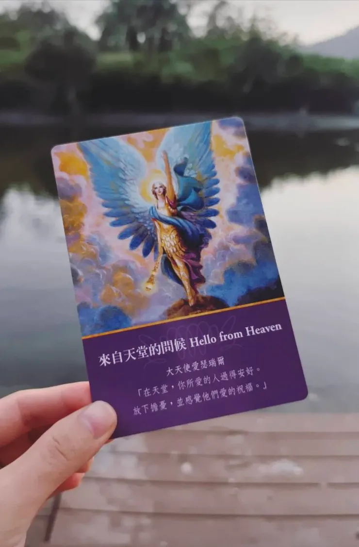最近占卜抽到的牌卡,就遇到了一隻蝴蝶來打招呼