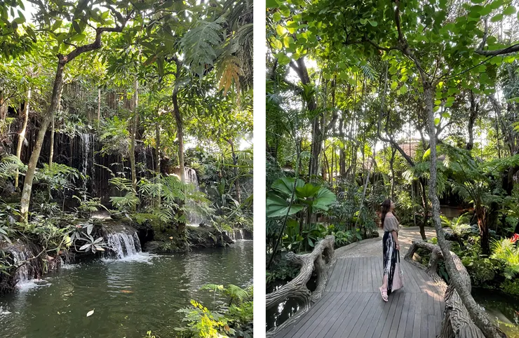 清邁米其林餐廳－黑森林餐廳