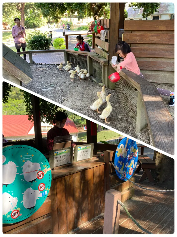 旁邊是黃色小鴨餵食區喔