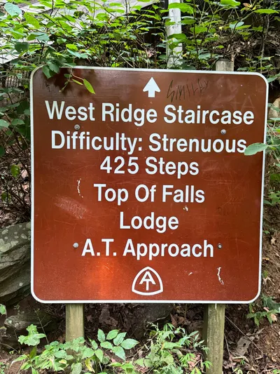 425台階， 疼痛不退場