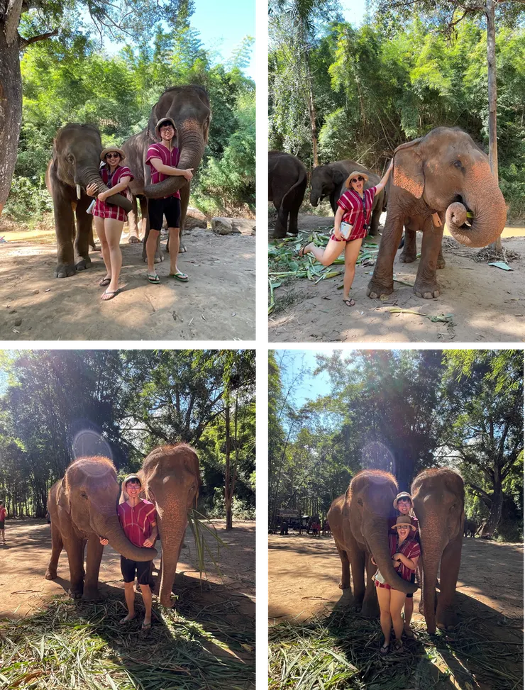 Kerchor大象生態公園。