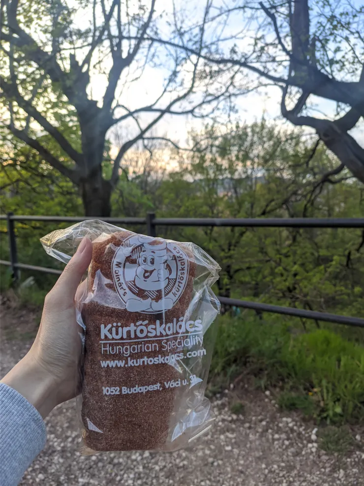 肉桂口味的煙囪捲