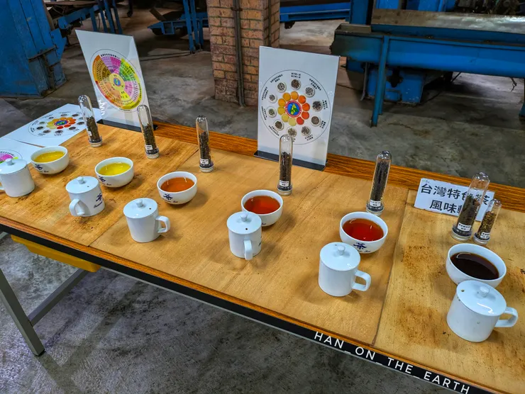 每杯茶的色澤都很美