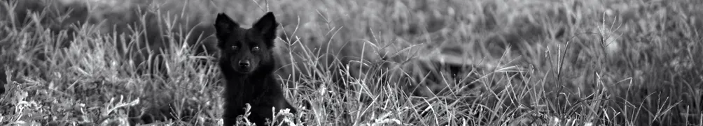 我在路上｜Ain't Got No. I Got Life