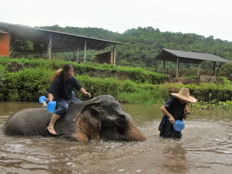 跟女王打起水戰