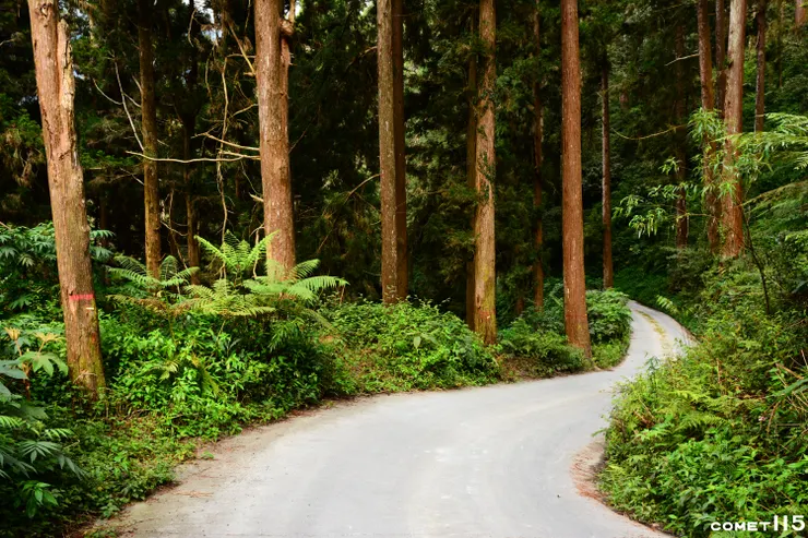 工程便道坡度十分陡斜，回程步行上坡一下子就累得氣喘吁吁