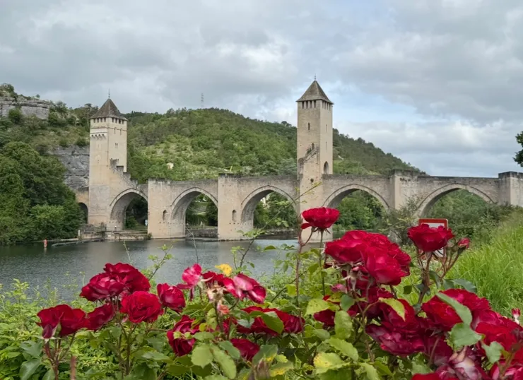 這個城市種滿了花
