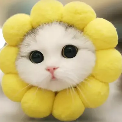 綺的閱讀空間的沙龍