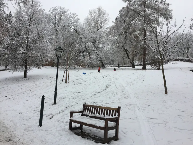 冬天，一片白茫茫，也很多人來這裡滑雪