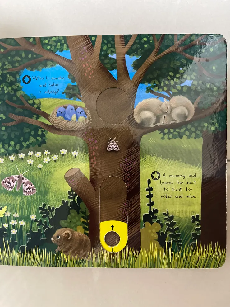 Night Animals-部分內頁