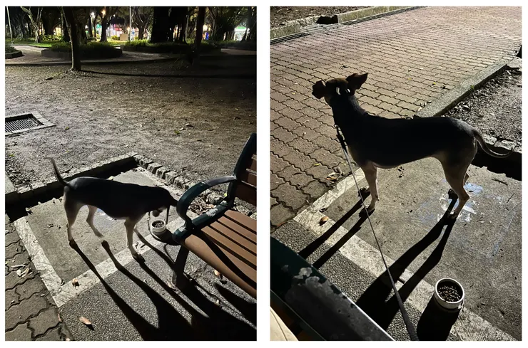 選在涼椅旁邊有空間的位置吃飯