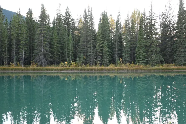 只要沒風就有桌布等級的倒影