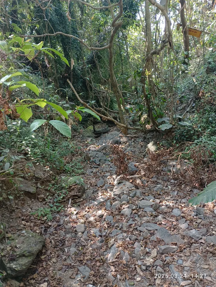 葉枕淒涼泣荒溝