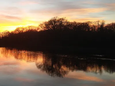 喃喃自語之5： 悼凱凱