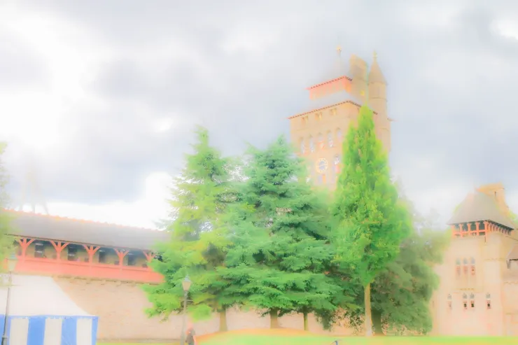 卡地夫城堡中一景