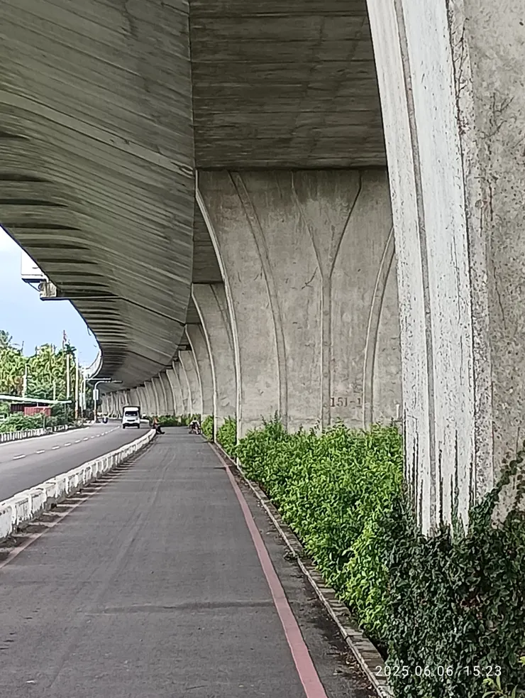 車棄雨避輕束裝，自拍攝