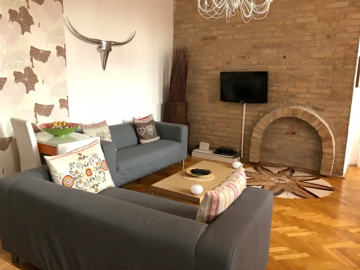 沙發客看到沙發就這麼興奮